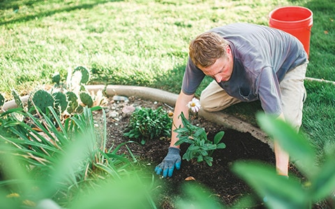man gardening outside of his home, 10 Easy Renovations That Can Help Prep Your House for Sale