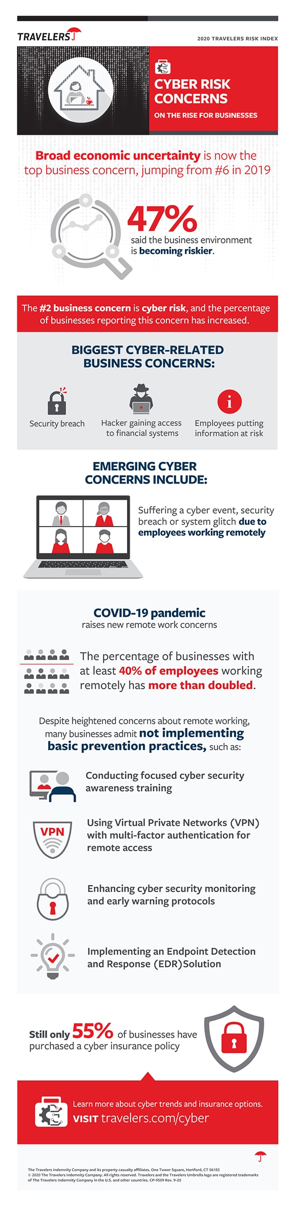 2020 Cyber Risk Infographic