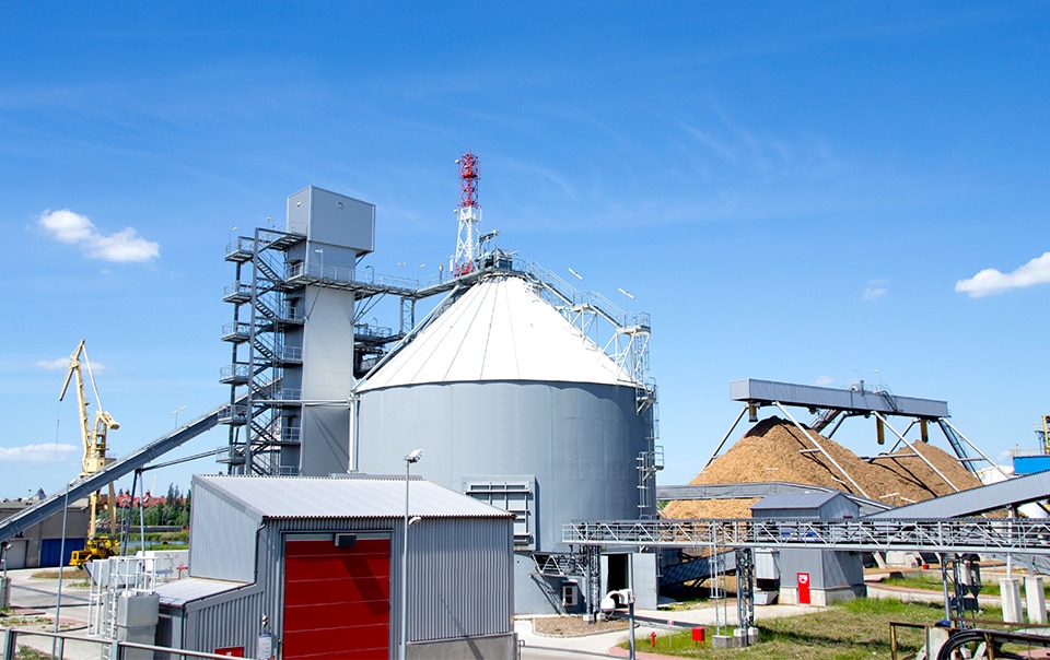 Biomass power generation facility