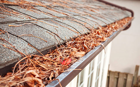 Dirty gutters that need to be cleaned in fall
