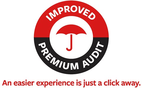 Premium Audit Improvements Icon