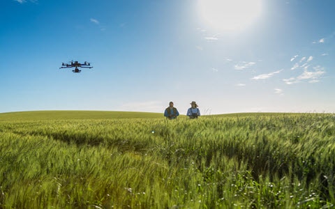 two farmers flying a drone over a field