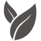 two leaves icon